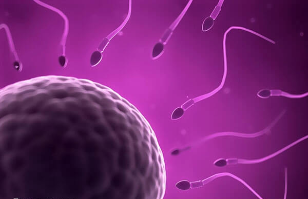 同卵双胞胎和同卵双生又称单卵双胞胎