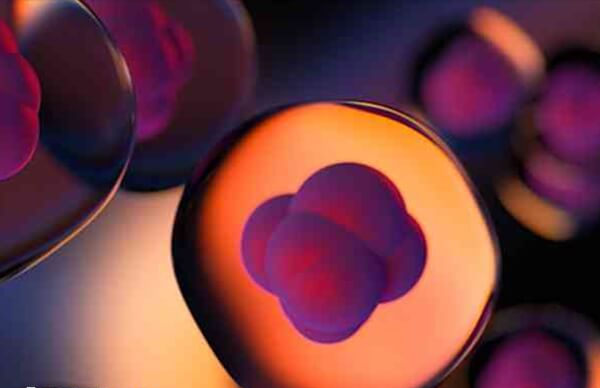 同卵双胞胎的概率约为4/1000