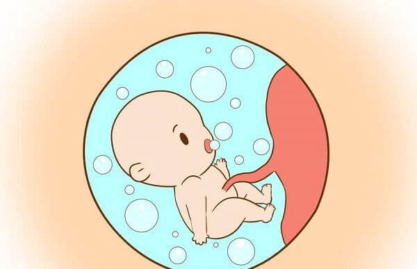 试管期间注射赛增不会对胎儿产生影响