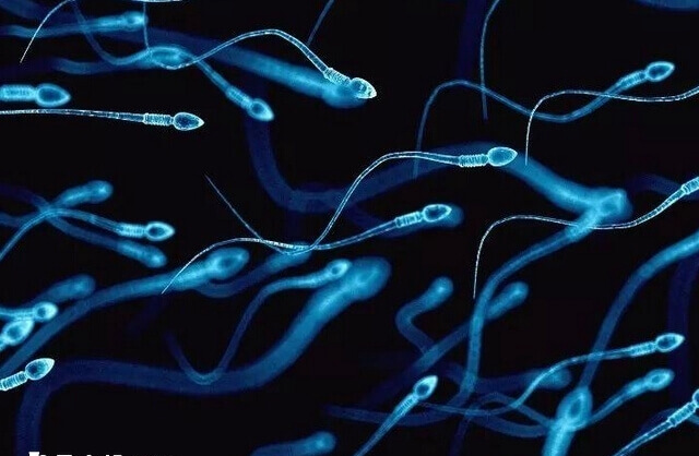 精子活力低也能生育