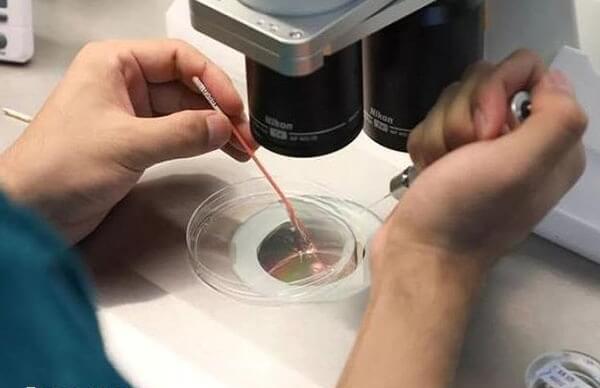 乳房痛可能是胚胎着床了