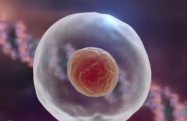 囊胚移植第六天出现白板不需要特别处理