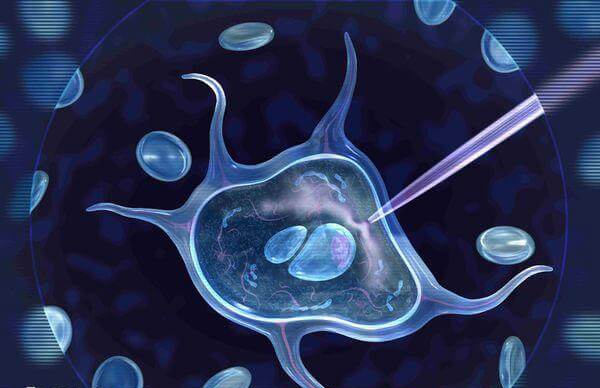 重庆有多家试管婴儿医院