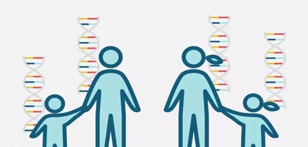 做试管婴儿只能生女儿 做试管婴儿只能生女儿