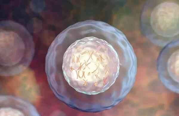 红斑狼疮涉及100多个相关基因