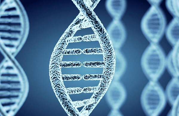 红斑狼疮属于多基因遗传的自身免疫性疾病