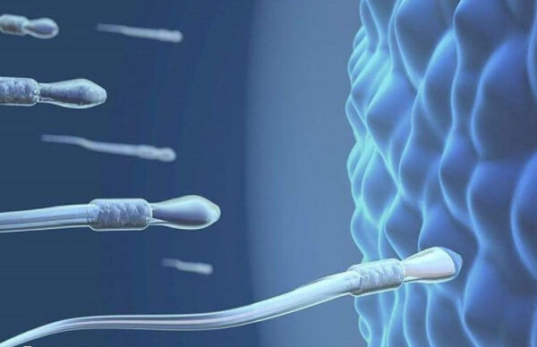 大辽能做人工授精