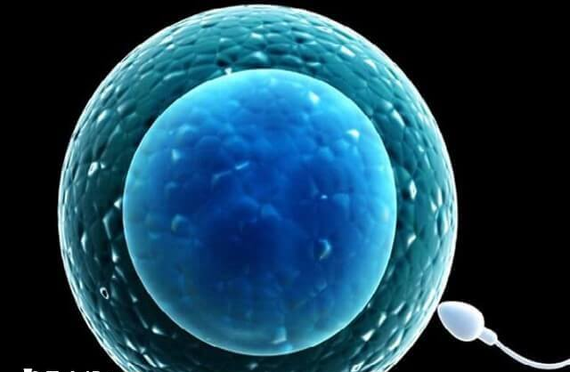 双滦区有多家不孕不育医院