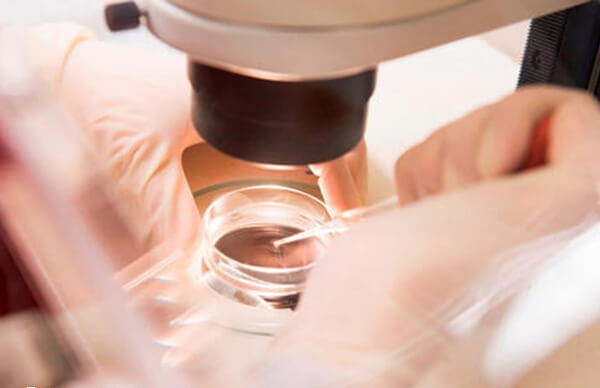 三代试管婴儿会选择优质胚胎移植