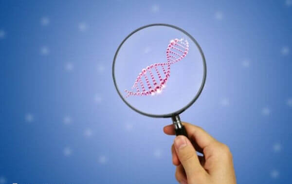 三代试管婴儿可进行基因筛查