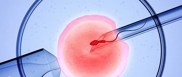 一次三代试管周期在2-3个月