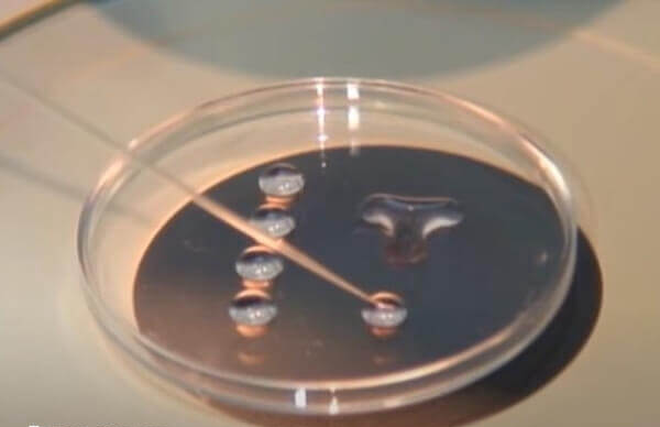 试管的成功率受到非常多因素多影响