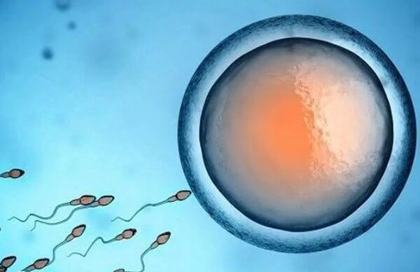 试管婴儿cos方案有很多类型