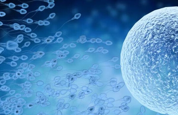 河北省供精人授检查费约5-6千元