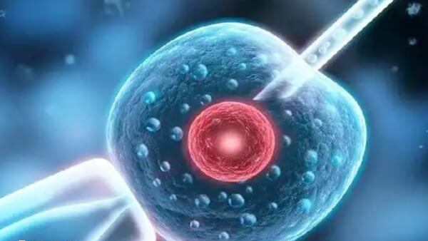 哈尔滨能做无精人工授精