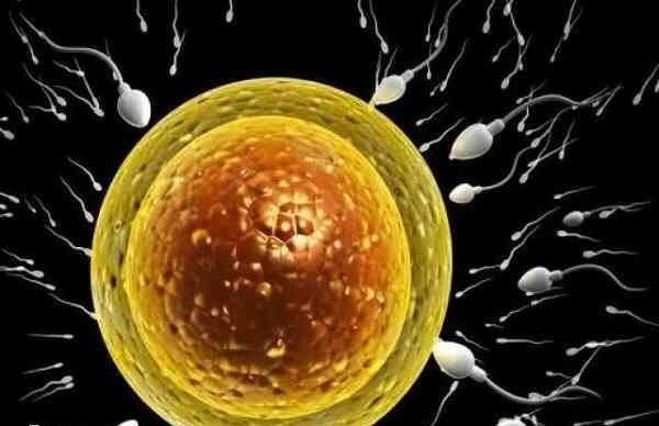 一二三代试管婴儿的优缺点详解