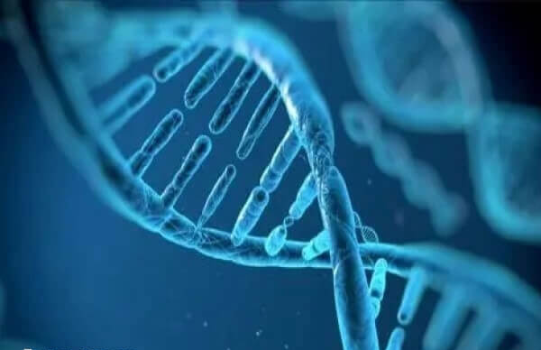 三代试管能减少宝宝遗传疾病几率