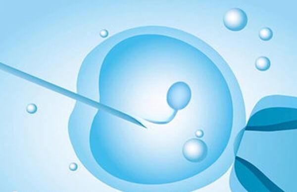 张家口没有做试管婴儿的医院