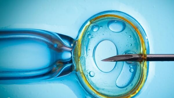 试管婴儿会增加多胎妊娠风险