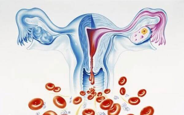 停经是受孕成功的标志之一