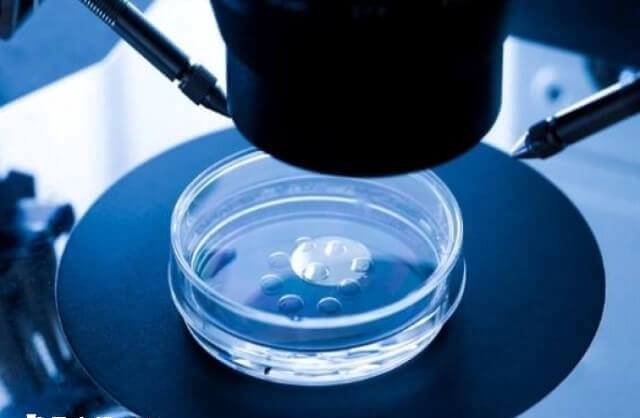 养囊需要在特定的实验室环境中进行