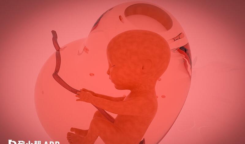 大部分男性做试管婴儿都是手淫法取精