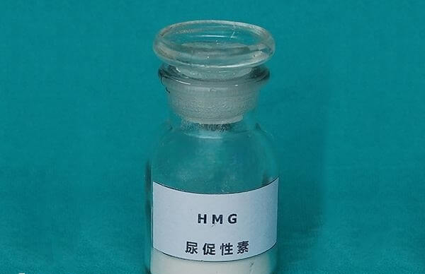 尿促性素可以促排卵