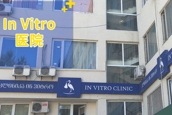 格鲁吉亚试管婴儿医院Invitro生殖中心