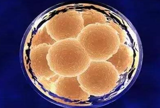 胚胎碎片多的原因?如何预防和降低呢