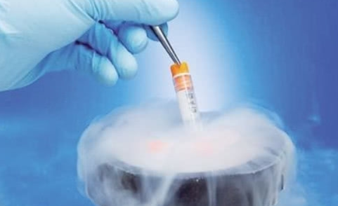 看完这篇，试管婴儿冷冻胚胎技术怎么回事