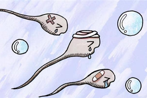 你知道精子畸形是怎么回事儿吗？