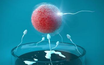 颜值的世界卵子也要看脸，如何培养健康帅气的精子