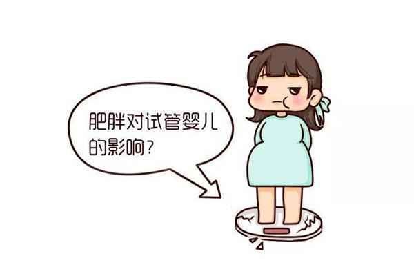 肥胖会影响试管成功率吗?