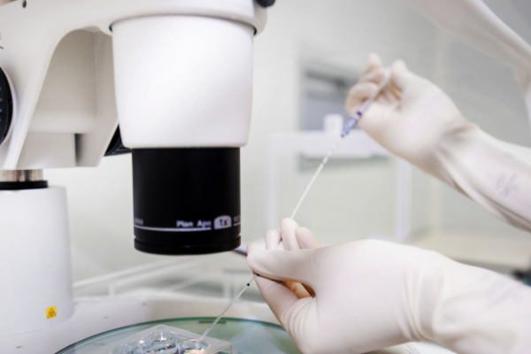 北京试管婴儿医院：试管婴儿移植后吃什么食物?