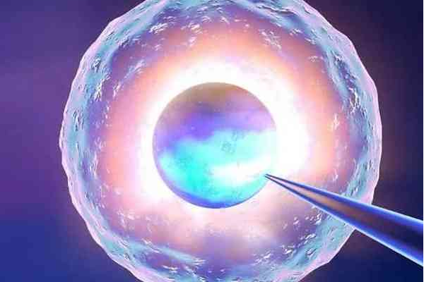 试管婴儿专家精子在女性体内能存活多久？