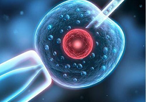 试管婴儿胚胎评分的意义和标准是什么
