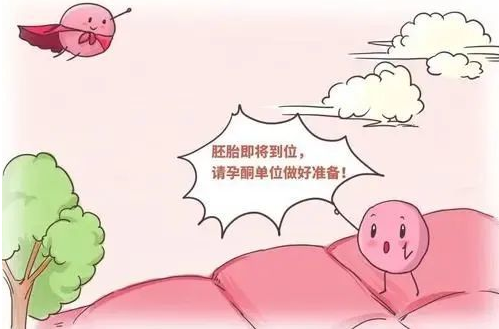 格鲁吉亚GGRC试管婴儿取卵前孕酮高怎么回事？