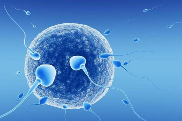 试管婴儿囊胚移植有哪些优点?