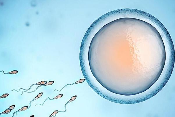 胚胎的外型可以决定试管婴儿的妊娠率吗？冻胚胎移植时间