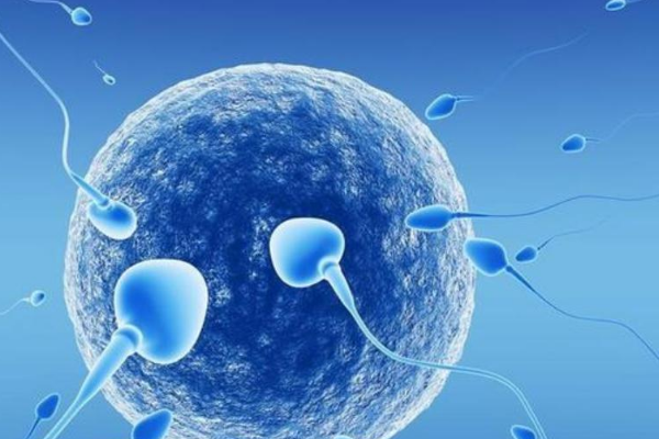 试管婴儿专家提示这些信号预示着胚胎着床成功或失败！
