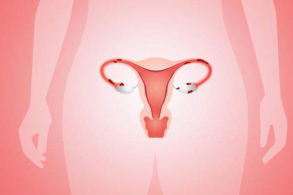 卵巢、子宫功能下降，卵子质量下降，受孕难