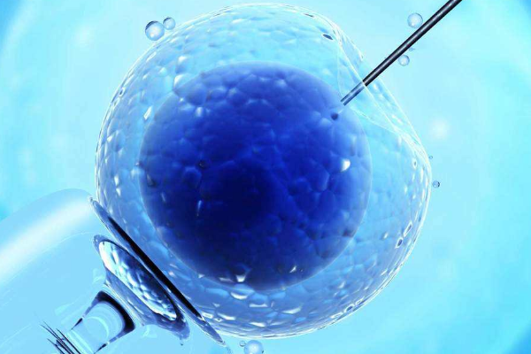 做试管婴儿，需要了解到的胚胎质量问题