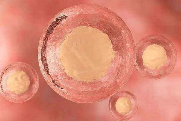 容易通过检测的胚胎是什么样子的呢？
