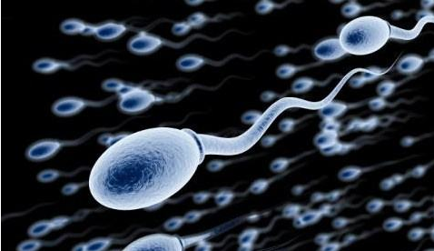男性精子数量少不能生？男性备孕常见3大误区！