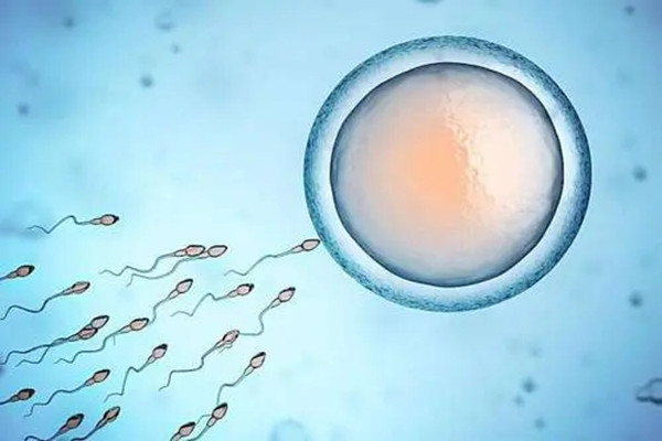 做试管婴儿前需要了解男性精子的质量