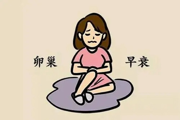 看看你的卵巢里剩多少卵子?