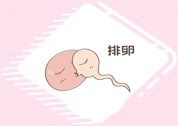 受孕率更高的是排卵当天，还是排卵前~