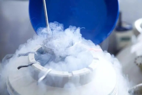 冷冻胚胎影响试管婴儿成功率吗
