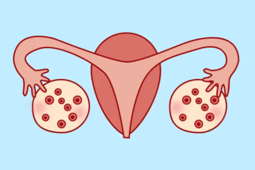 做试管婴儿为何查卵巢功能及孕酮作用