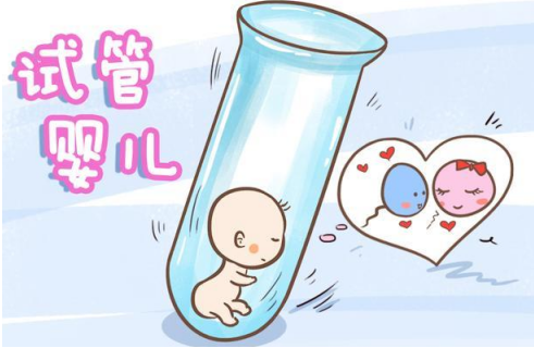 试管婴儿满足的条件和取卵后注意事项